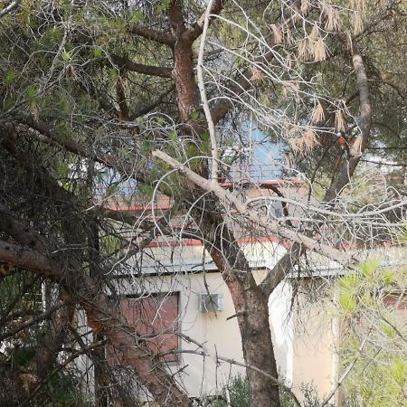 Apartman Lucica Zadar Exterior photo